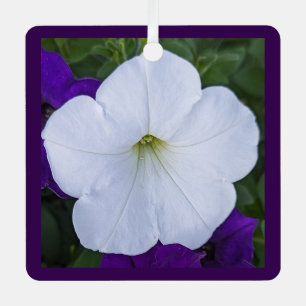 Christmas White Flower Photo Bible Verse Purple Metal Tree Decoration
