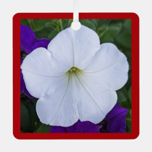 Christmas White Flower Photo Bible Verse Red Metal Tree Decoration