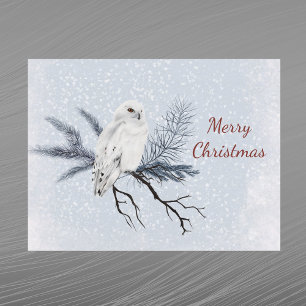 Christmas White Owl Pine Branch Watercolor Holiday Postcard