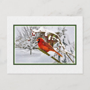 Christmas,  Winter, Cardinal Bird, Snow, Postcard