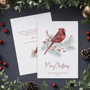 Christmas Winter Cardinal on Snowy Pine  Holiday Card