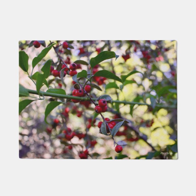 Christmas/Winter Door Mat (Front)