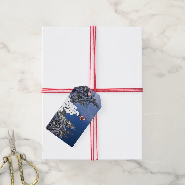 Christmas winter landscape gift tags (With Twine)