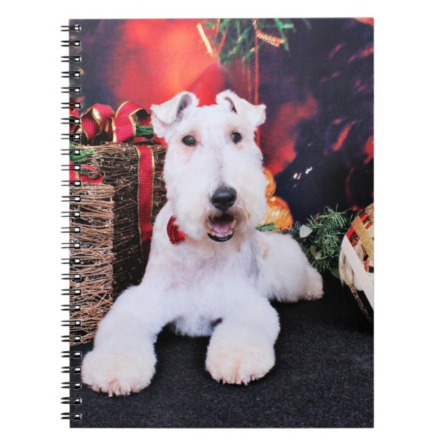 Christmas - Wire Fox Terrier - Dexter Notebook (Front)
