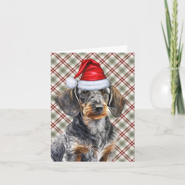 Christmas Wirehair Dachshund and Holiday Plaid (Front)