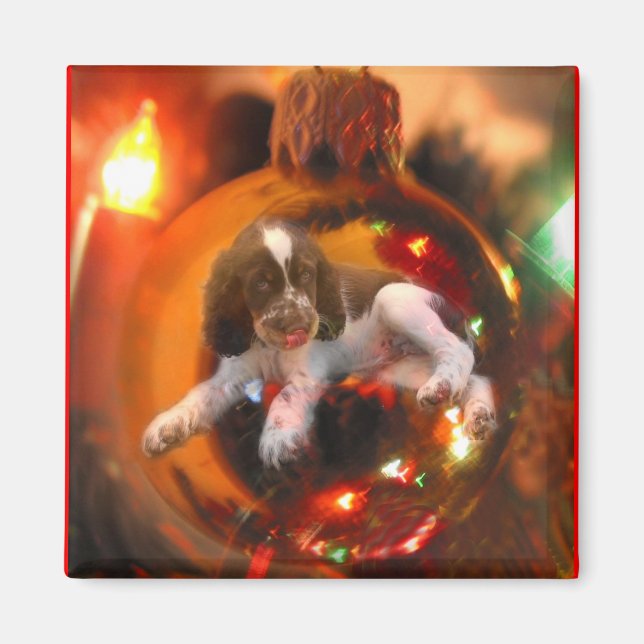 Christmas Wish Magnet (Front)