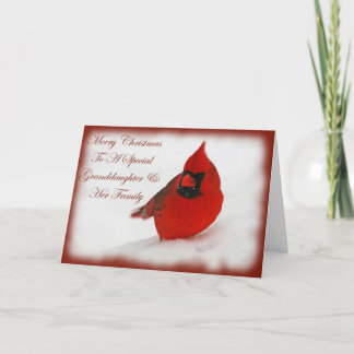 Christmas Wishes Cardinal Granddaughter & Family Holiday Card