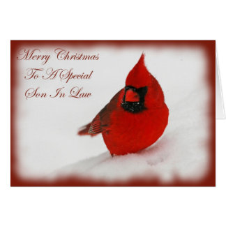 Christmas Wishes Cardinal Son In Law