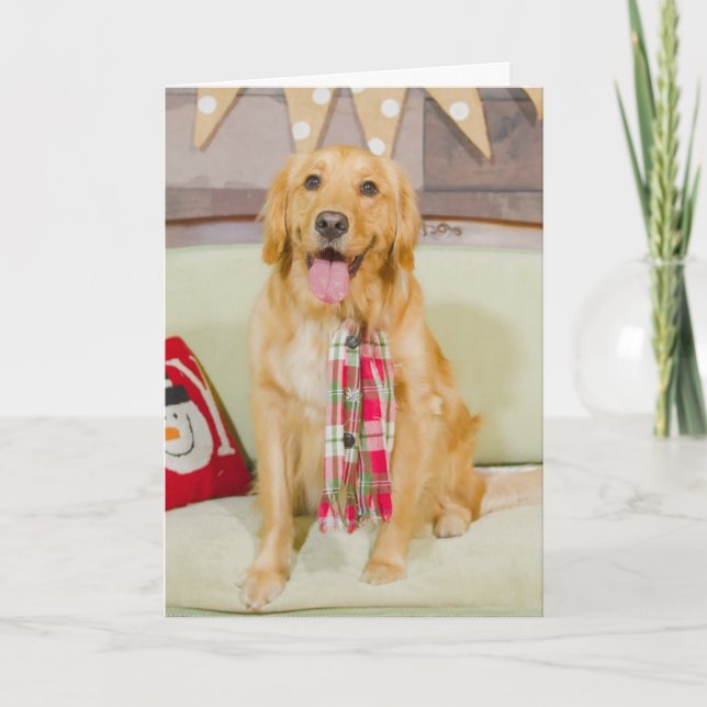 Christmas with Lily Chanel Holiday Card (Front)