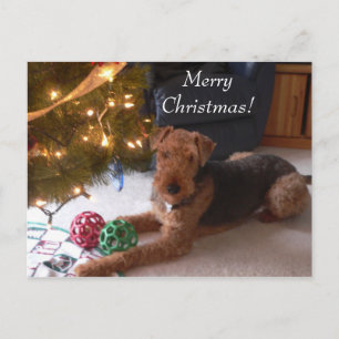 Christmas with Madeleine Postcard