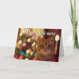Christmas with our pets Merry Cat-mess Holiday Card
