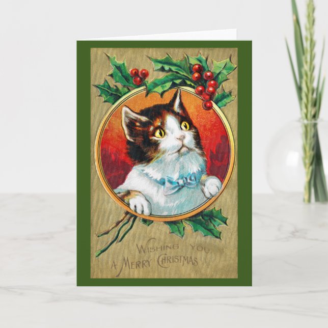 Christmas, Xmas Cat Card (Front)