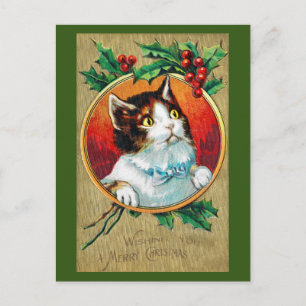 Christmas, Xmas Cat Postcard