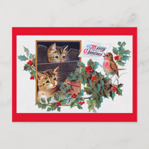 Christmas, Xmas Kitten and Little Bird Postcard