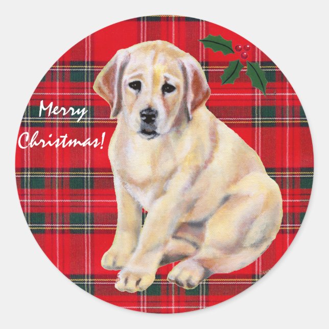 Christmas Yellow Labrador Puppy Tartan Classic Round Sticker (Front)