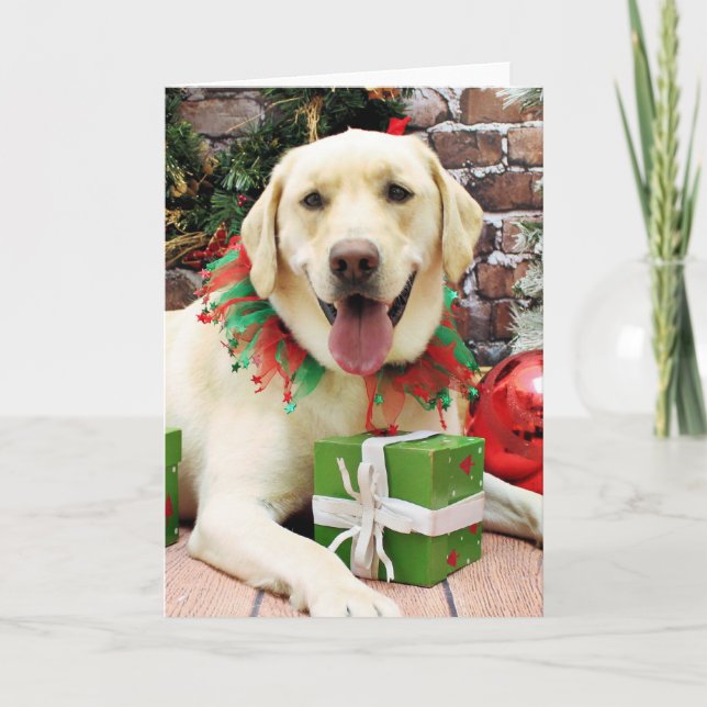Christmas - Yellow Labrador - Strider Holiday Card (Front)