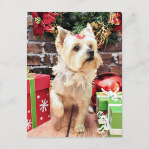 Christmas - Yorkie - Dorie Holiday Postcard
