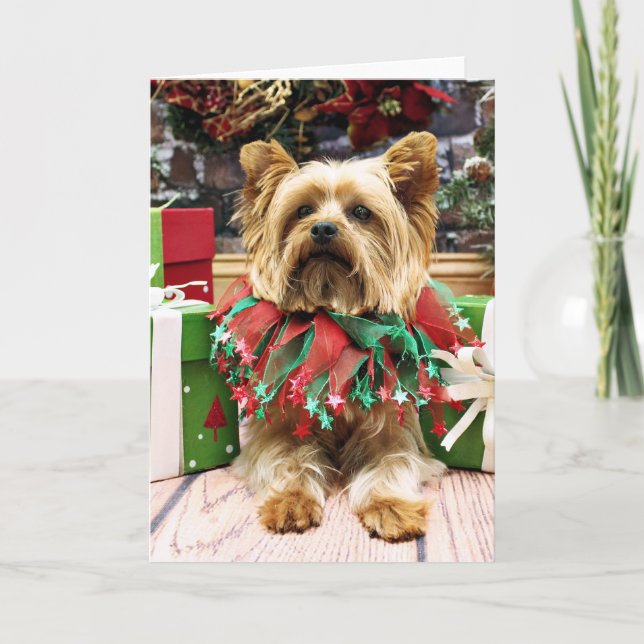 Christmas - Yorkie - Max Holiday Card (Front)