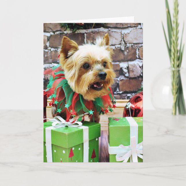 Christmas - Yorkie - Willie Holiday Card (Front)