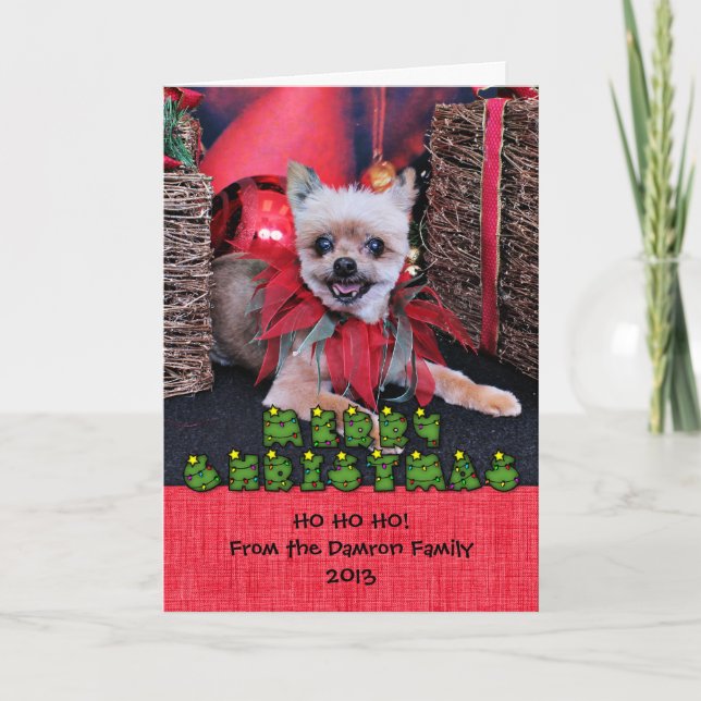 Christmas - Yorkie X - Lucky Holiday Card (Front)