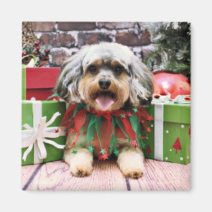 Christmas - YorkiPoo - Oliver Magnet