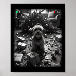 Christmas Yorkshire Terrier Caught On Camera Poster