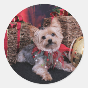 Christmas - Yorkshire Terrier - Vinnie Classic Round Sticker