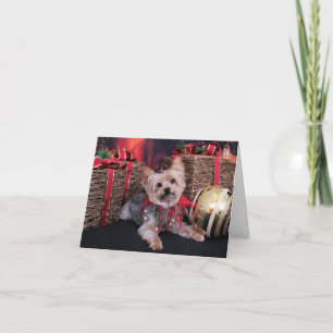Christmas - Yorkshire Terrier - Vinnie Holiday Card