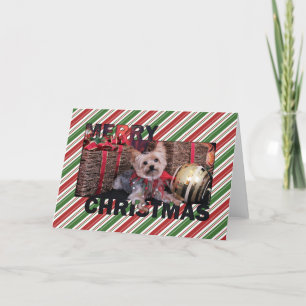 Christmas - Yorkshire Terrier - Vinnie Holiday Card