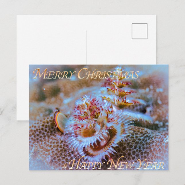 Christmass tree worm  postcard (Front/Back)