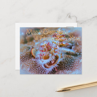 Christmass tree worm postcard