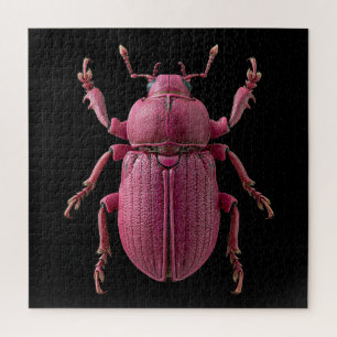 Chromatic Beetles Jigsaw Puzzle