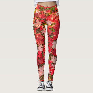 chromatic magic of the autumn LEGGINGS