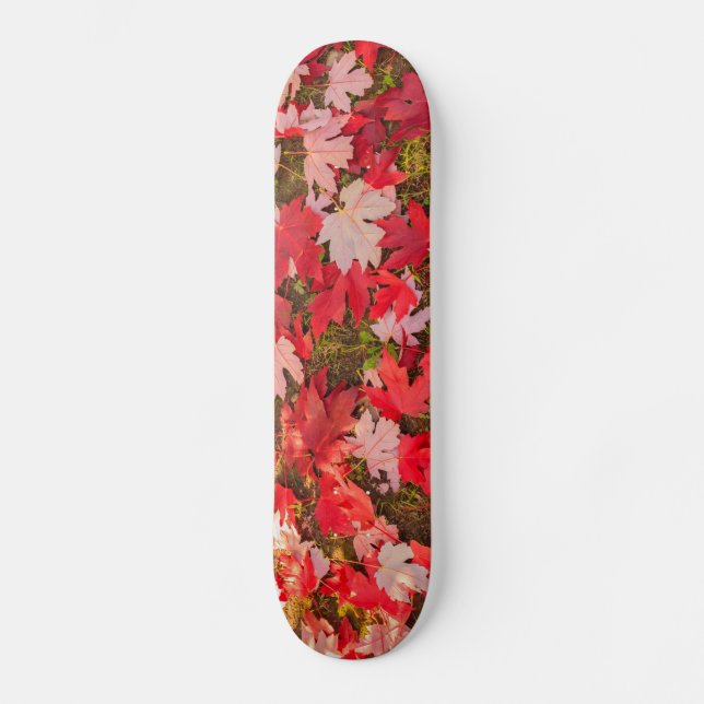 chromatic magic of the autumn  Skateboards (Front)