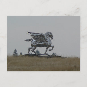 Chrome horse postcard