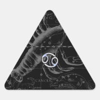 Chrome like Cancer Zodiac Constellation Hevelius