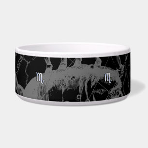 Chrome like Scorpio Zodiac Symbol on Hevelius