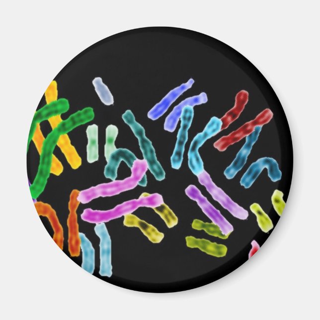 Chromosome Black background Magnet (Front)