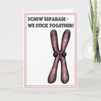 Chromosomes Holiday Card