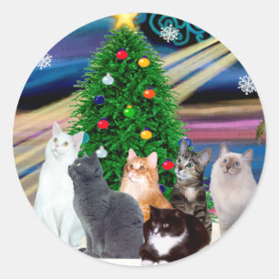 Chrstmas Magic - Six cats (variety) Classic Round Sticker
