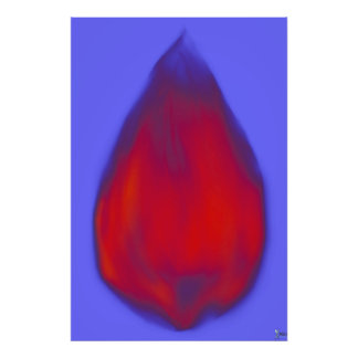 CHRYSALIS  PHOTO PRINT
