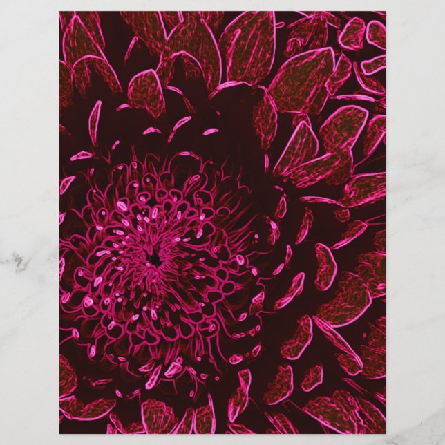 Chrysanthemum (Front)