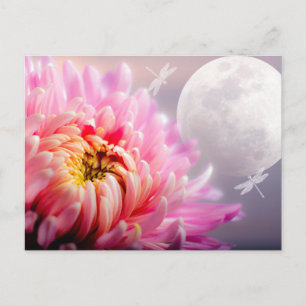 Chrysanthemum and Moon Postcard
