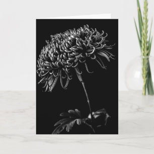 Chrysanthemum Card