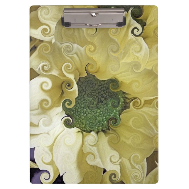 CHRYSANTHEMUM    CLIPBOARD (Front)