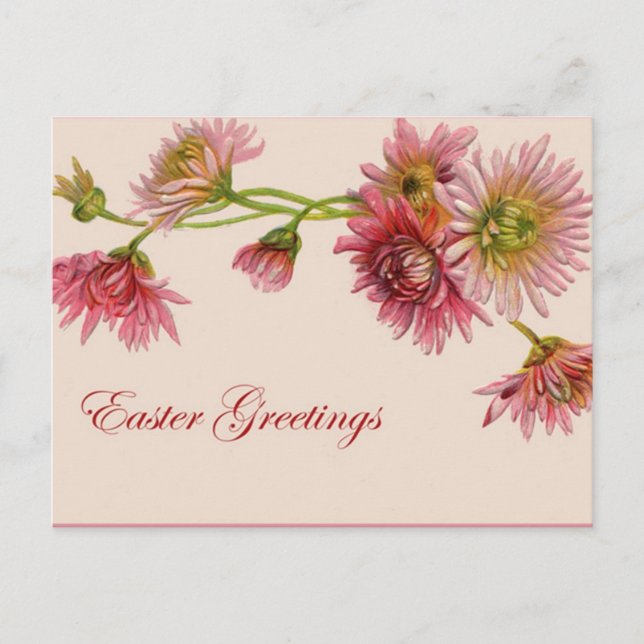 Chrysanthemum Easter Greetings - Postcard (Front)