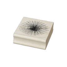 Chrysanthemum Firework