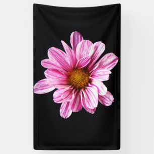 Chrysanthemum Flower bnrcnm Banner
