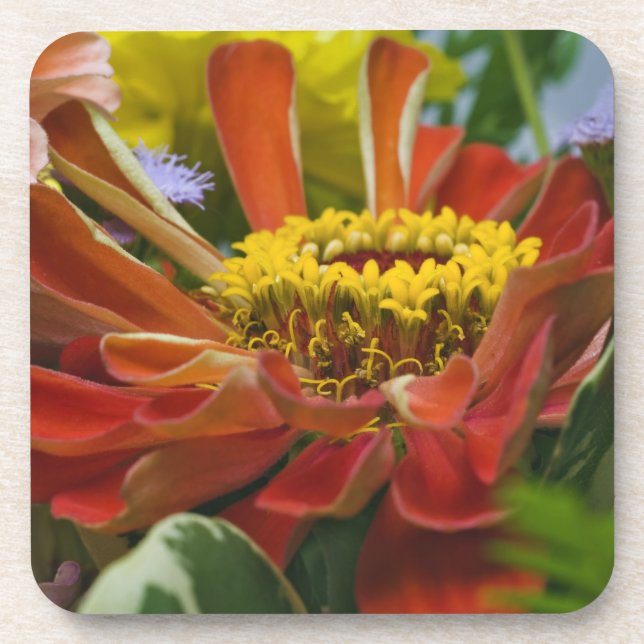 Chrysanthemum flower coaster (Front)