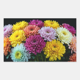 Chrysanthemum Flower Colourful Blossom Decoration  Rectangular Sticker